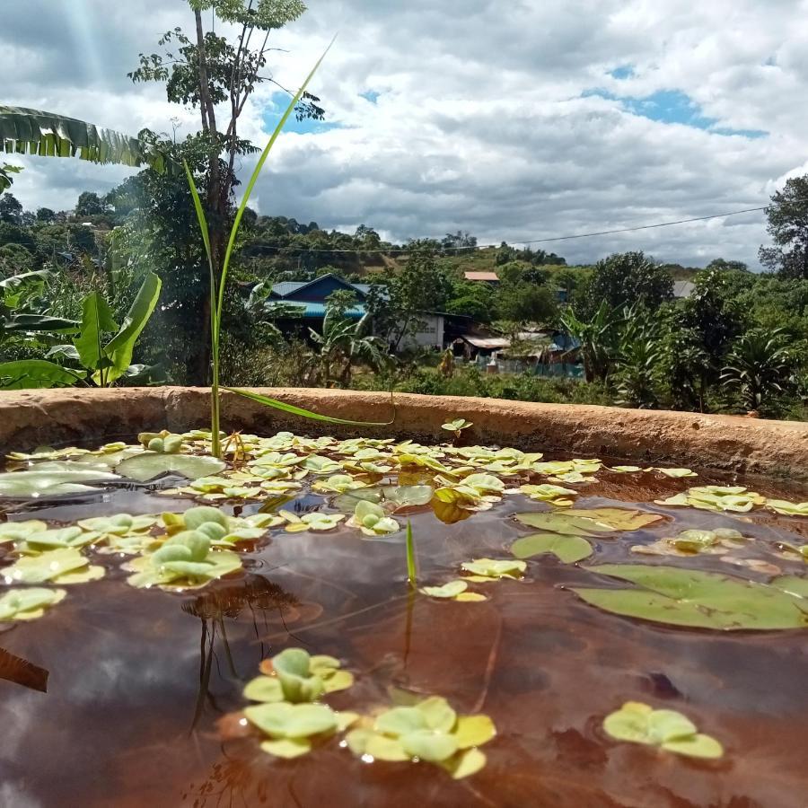 Ratanak Tep Rithea Homestay Banlung Екстер'єр фото
